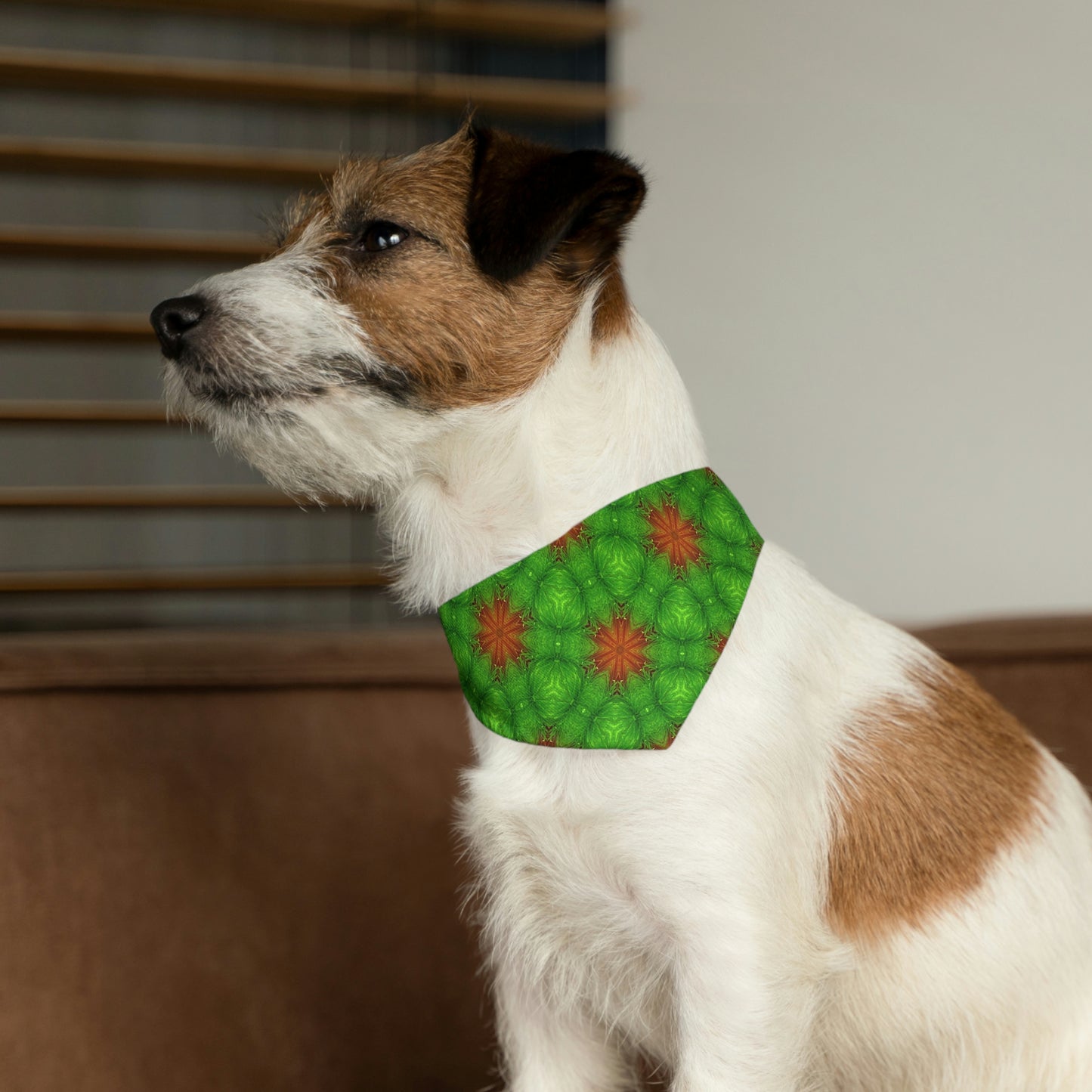 Green Buddy Pet Bandana Collar
