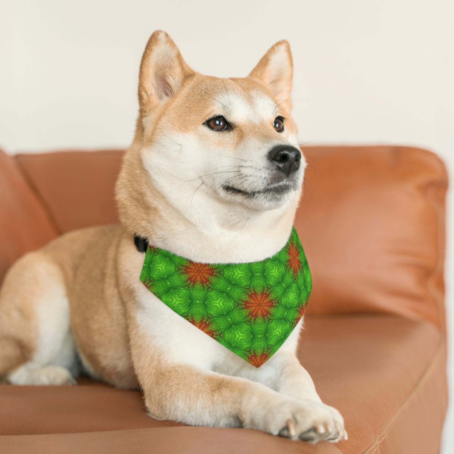 Green Buddy Pet Bandana Collar
