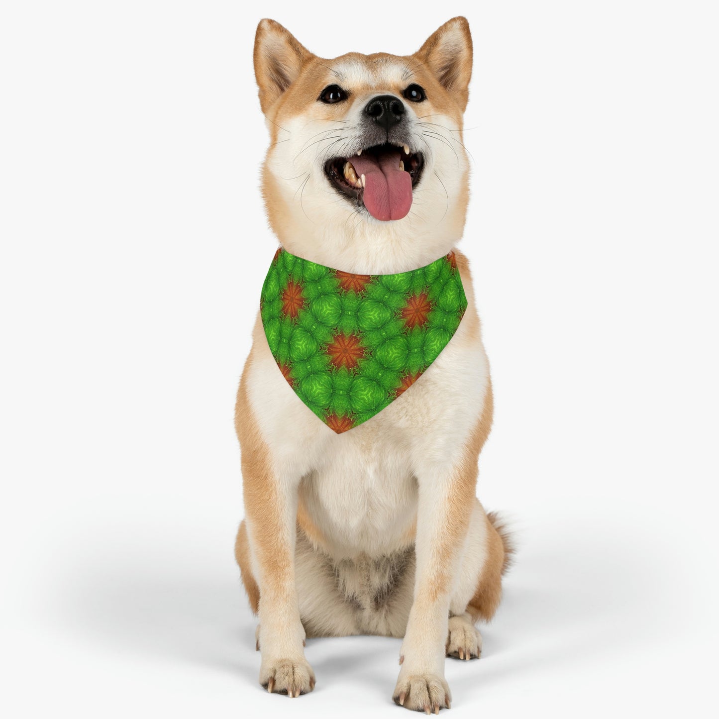 Green Buddy Pet Bandana Collar