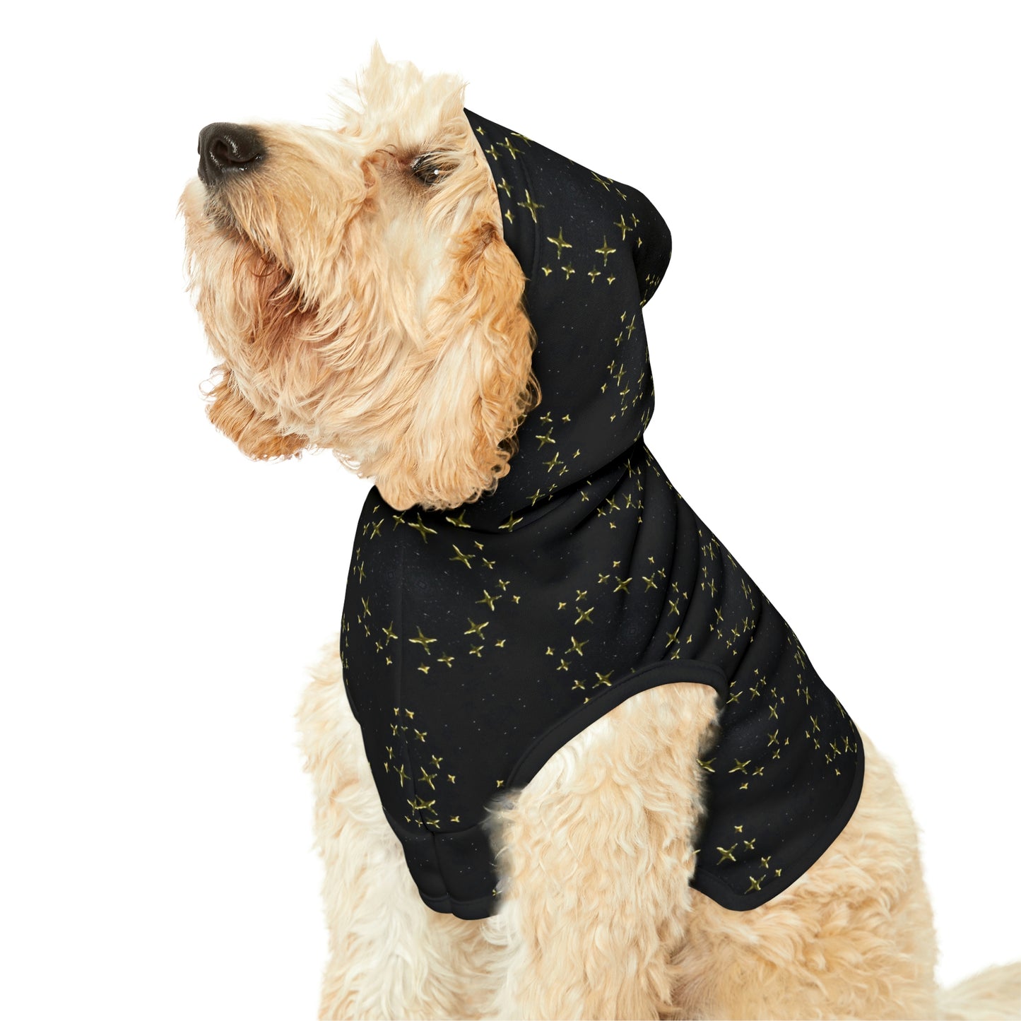 Bling Night Dog Hoodie