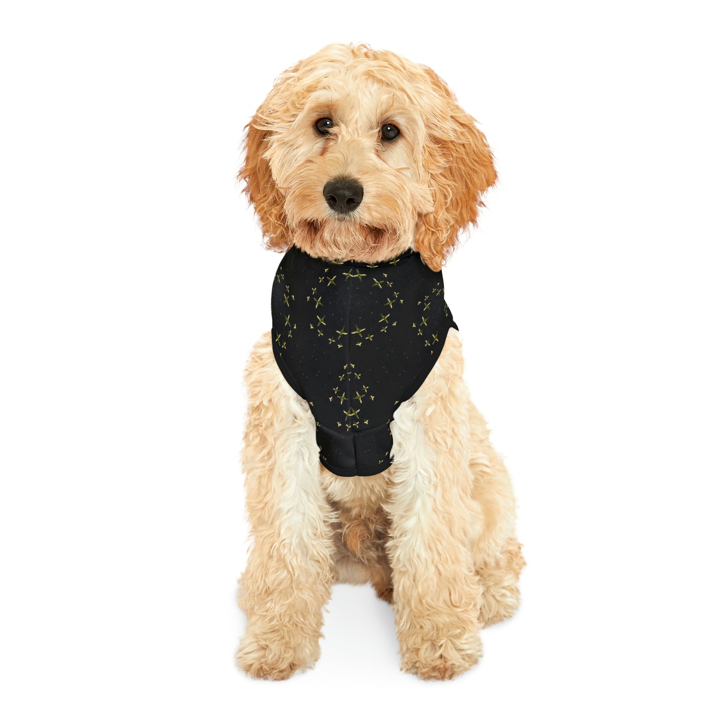 Bling Night Dog Hoodie