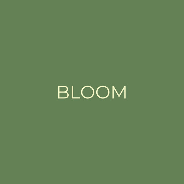 Bloom Media Store